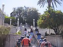 IMG_0161